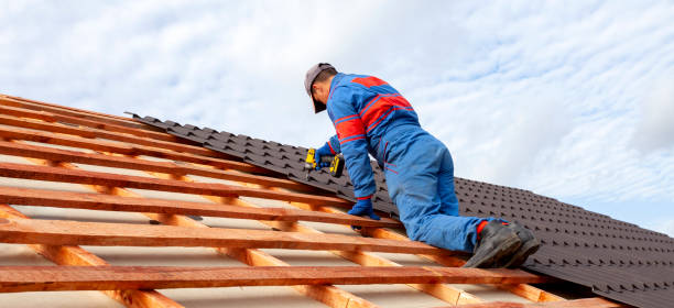 Best Roof Moss and Algae Removal  in Powell, TN