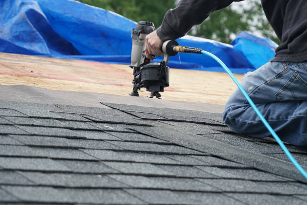 Best Storm Damage Roof Repair  in Powell, TN
